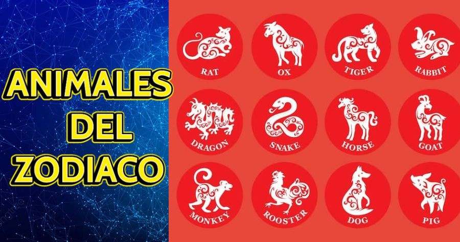 Choose Your Birthday Month To Find Out Which Animal Matches Your Zodiac Sign